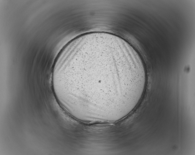 X0000111941284200908241132