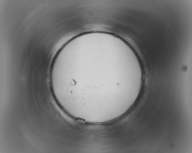 X0000111941285200908241132