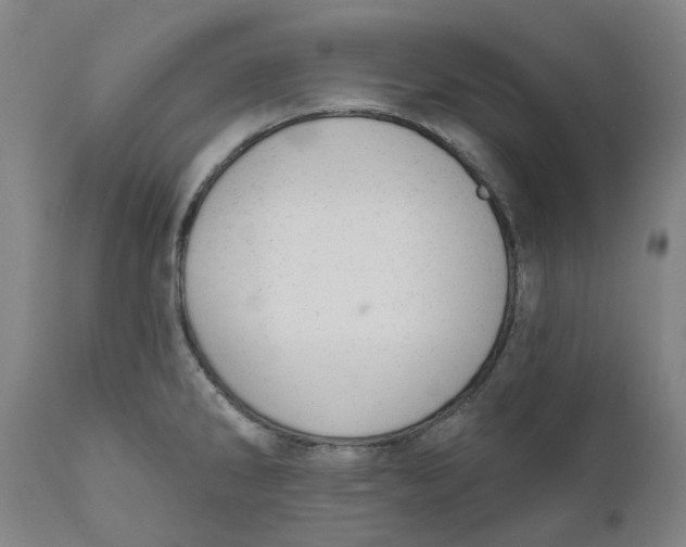 X0000111941286200908241132