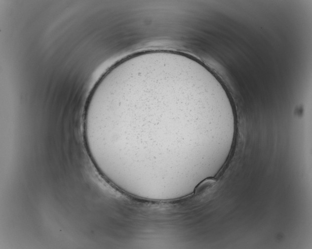 X0000111941288200908241131