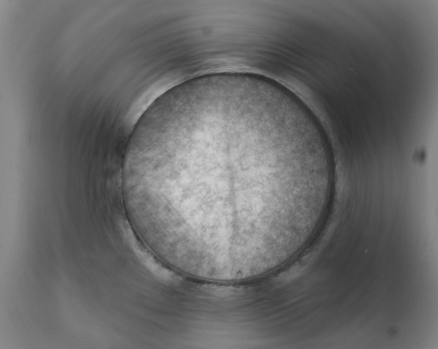 X0000111941289200908241131