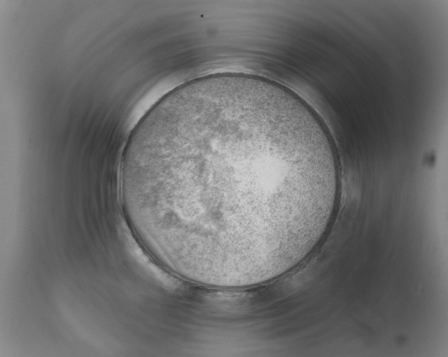 X0000111941290200908241131