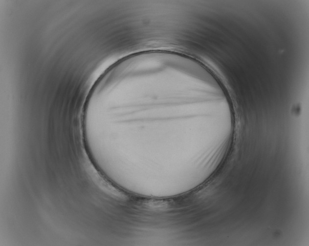 X0000111941291200908241131