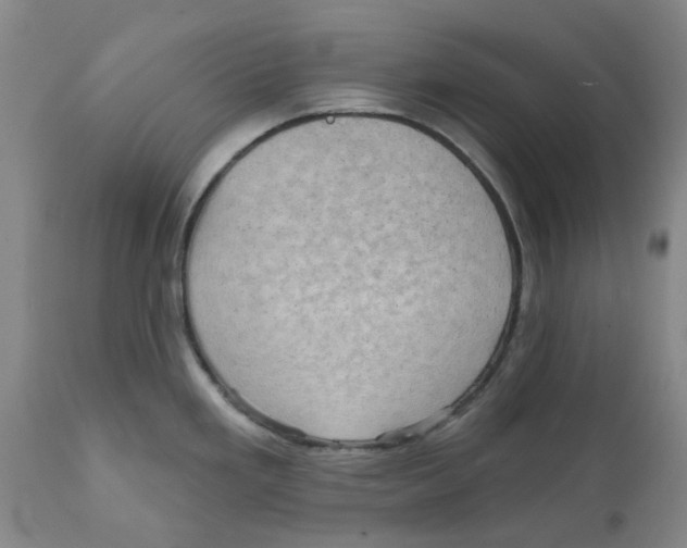 X0000111941293200908241131