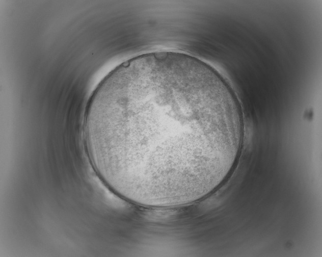 X0000111941294200908241131