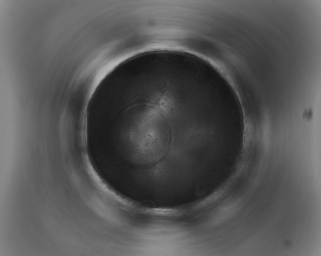 X0000111941295200908241131