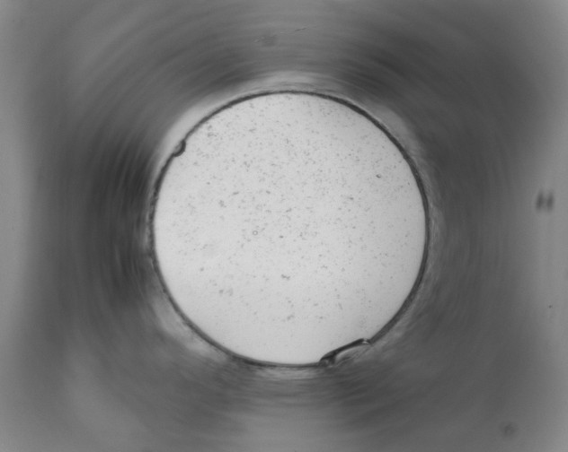 X0000111941296200908241131