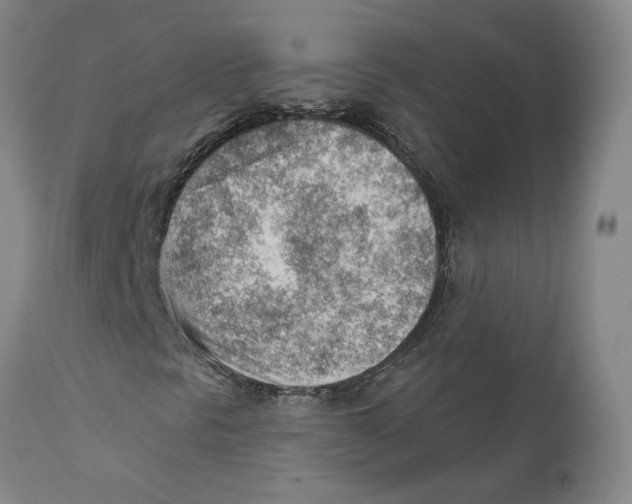 X0000111941297200908241130