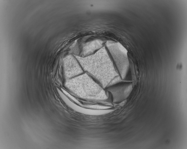 X0000111941298200908241131