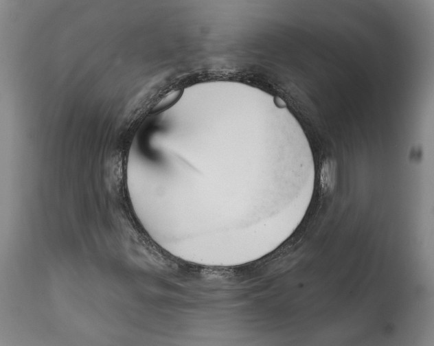 X0000111941299200908241131