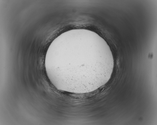 X0000111941300200908241131