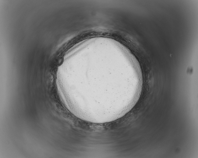 X0000111941302200908241131