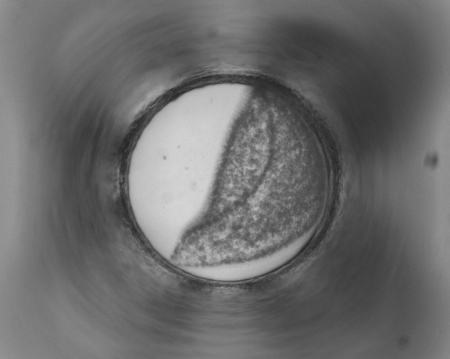 X0000111941306200908241131