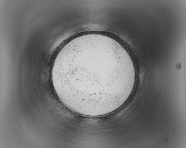 X0000111941309200908241131