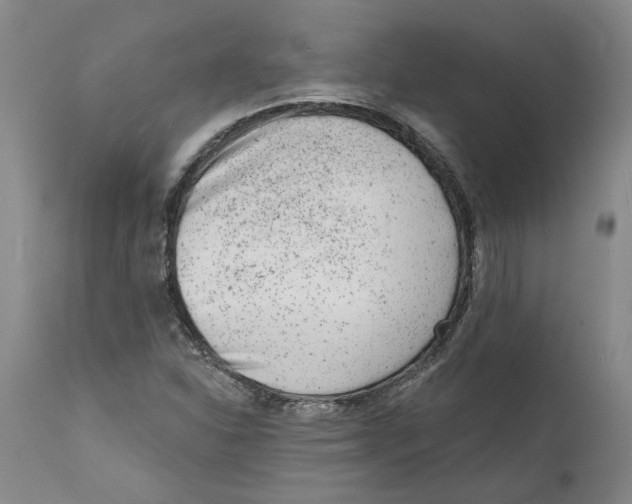 X0000111941310200908241131