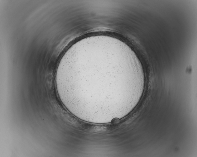 X0000111941313200908241131