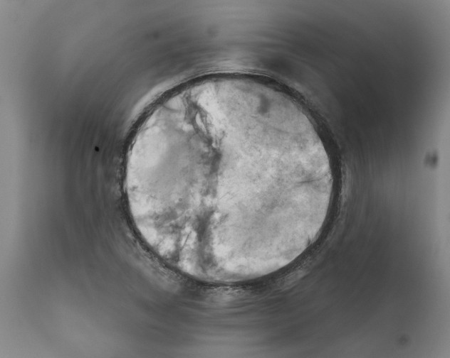 X0000111941314200908241131