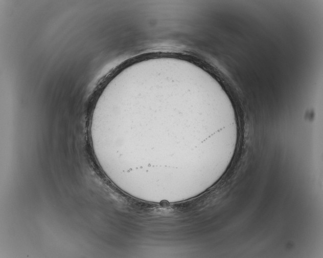 X0000111941315200908241131