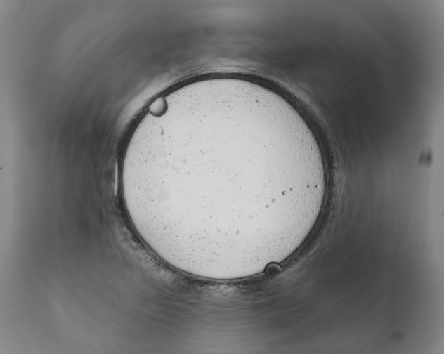 X0000111941317200908241131