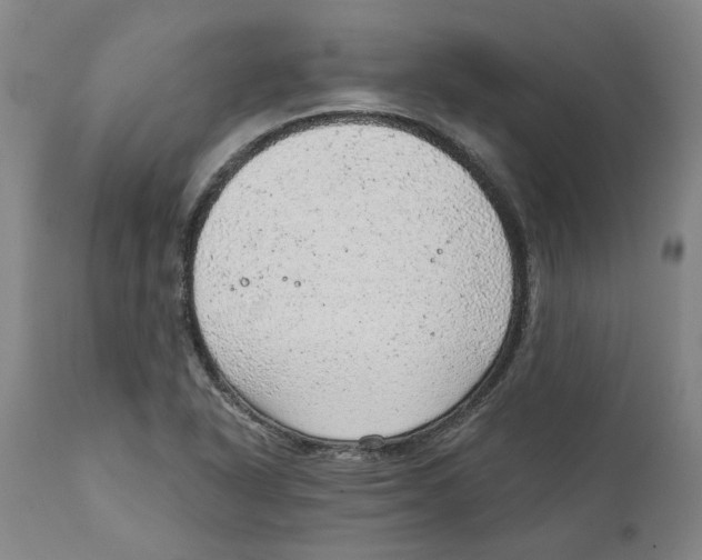 X0000111941318200908241131