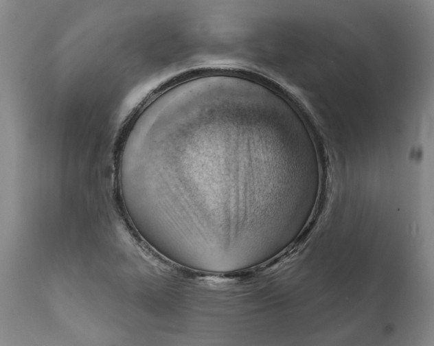 X0000111941319200908241131