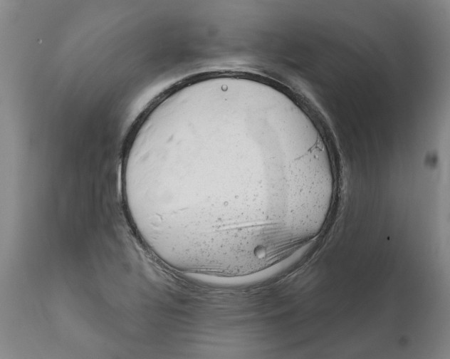 X0000111941320200908241131