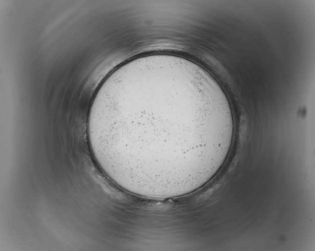 X0000111941321200908241131