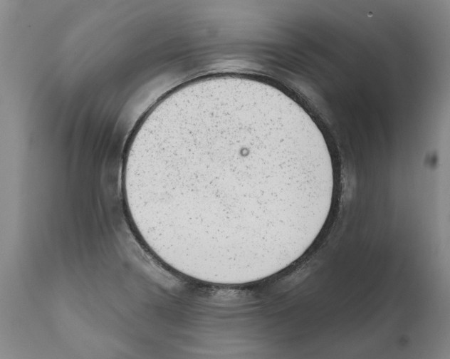 X0000111941322200908241131