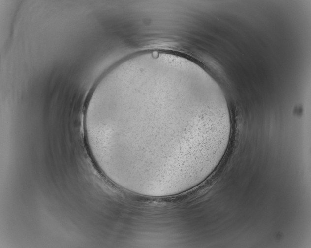 X0000111941324200908241131