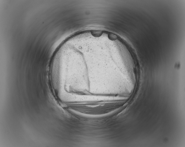 X0000111941325200908241131