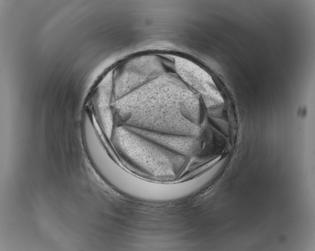 X0000111941326200908241131