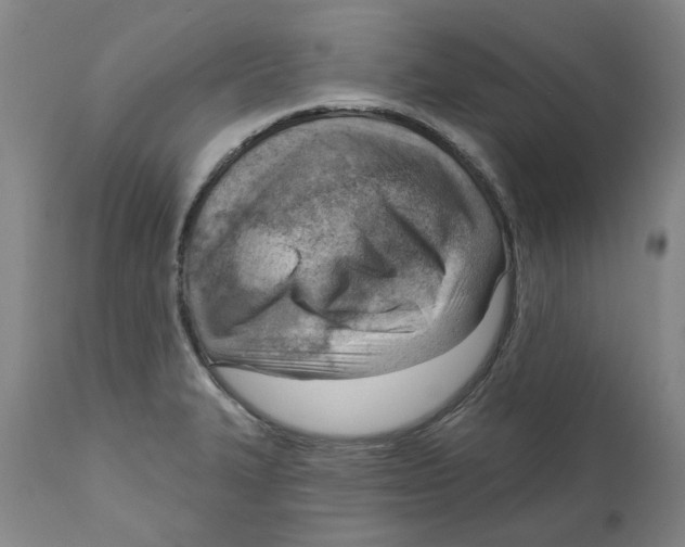 X0000111941327200908241131