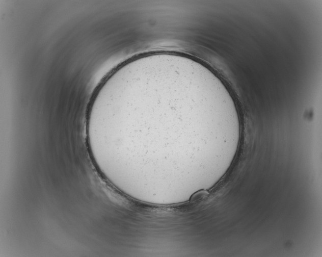 X0000111941328200908241131