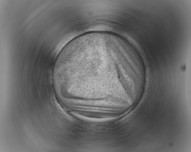 X0000111941329200908241131