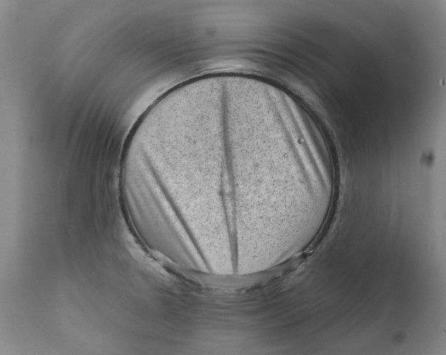 X0000111941330200908241131