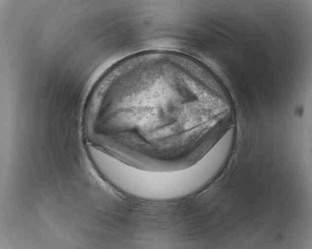 X0000111941331200908241131