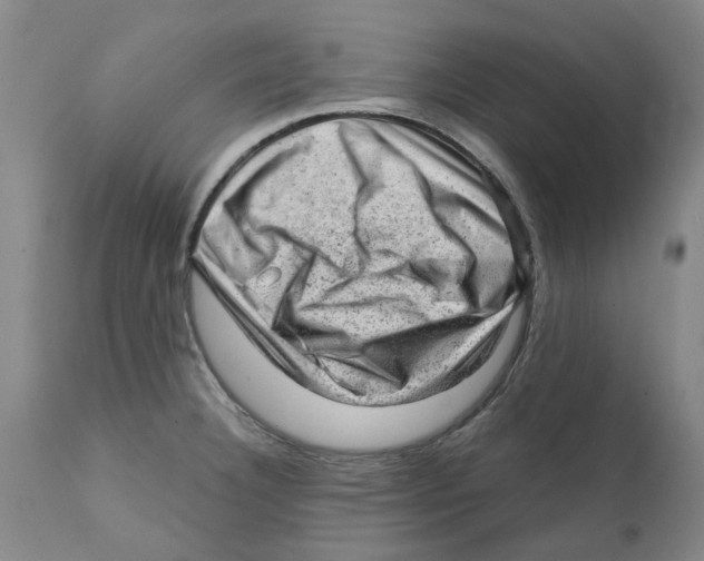 X0000111941332200908241131