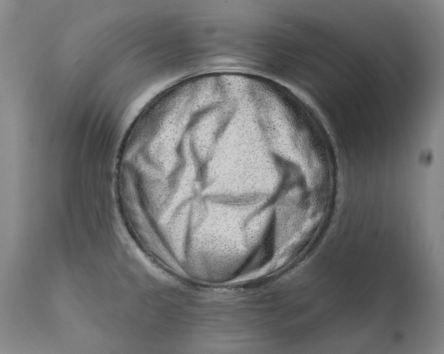 X0000111941333200908241131