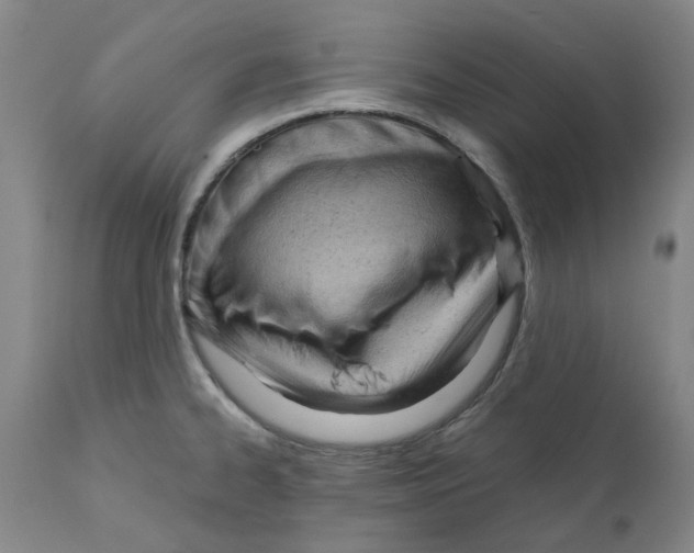 X0000111941334200908241131