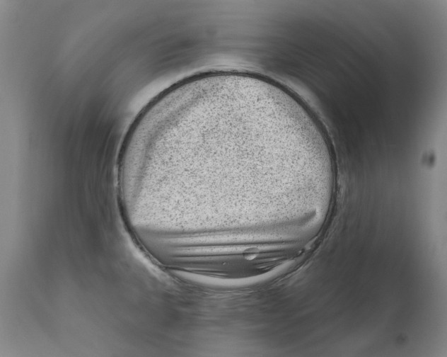 X0000111941335200908241131