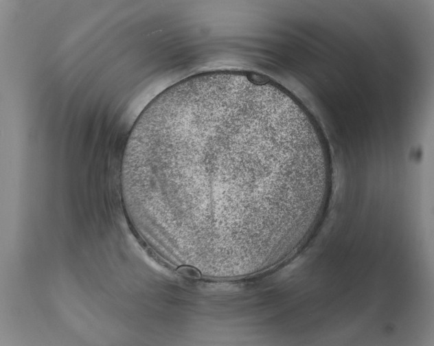 X0000111941337200908241131