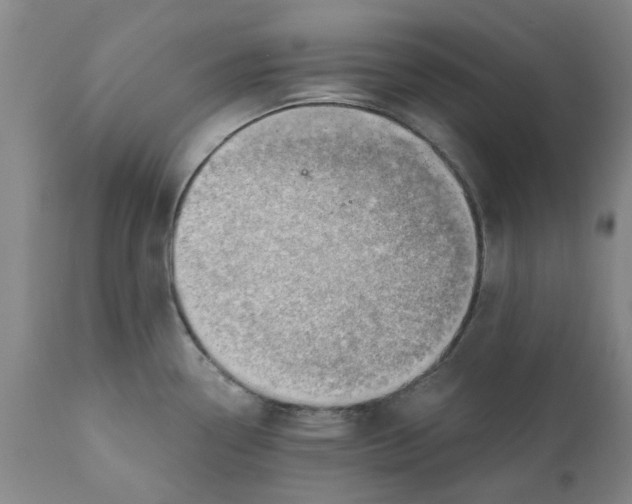 X0000111941338200908241131