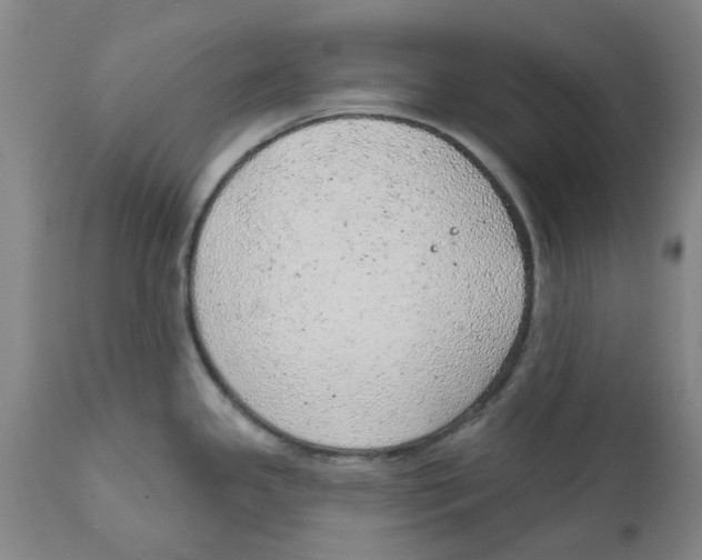 X0000111941341200908241131