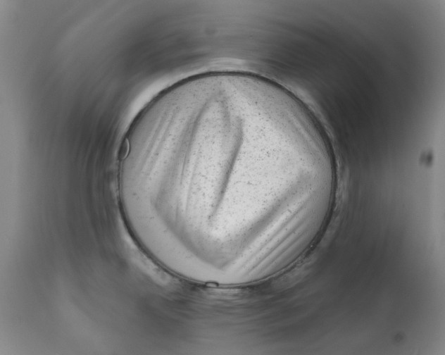 X0000111941342200908241131