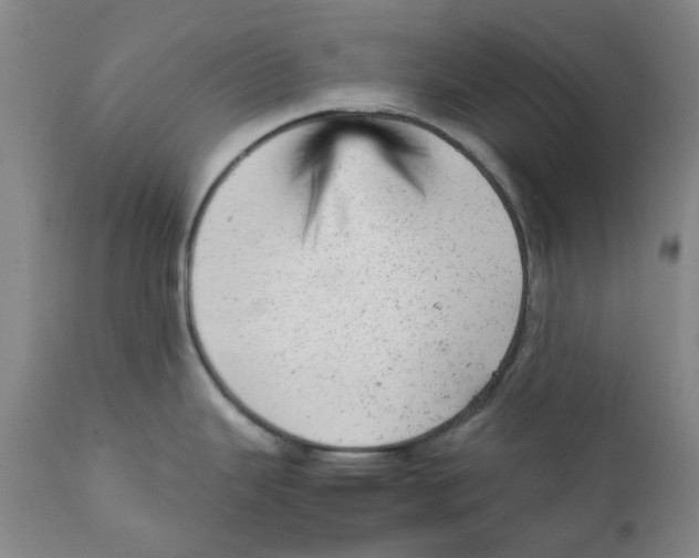 X0000111941343200908241131