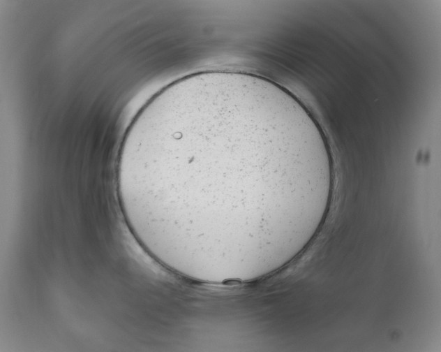 X0000111941344200908241131