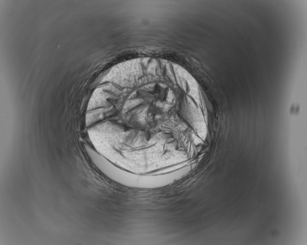 X0000111941345200908241130