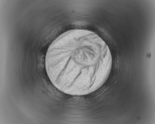 X0000111941346200908241130