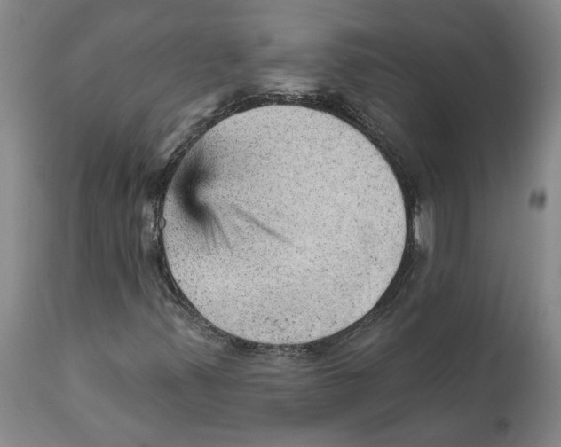 X0000111941347200908241130