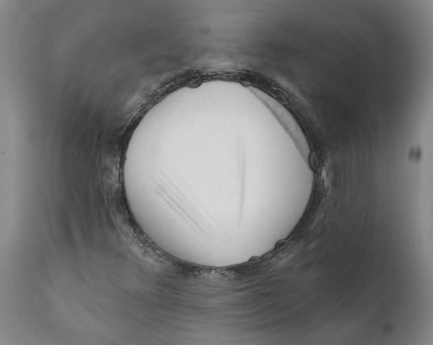 X0000111941348200908241130